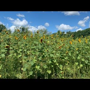 Meet your Posher, Ashleigh